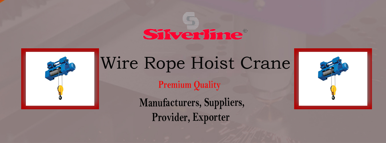 Wire Rope Hoist Crane